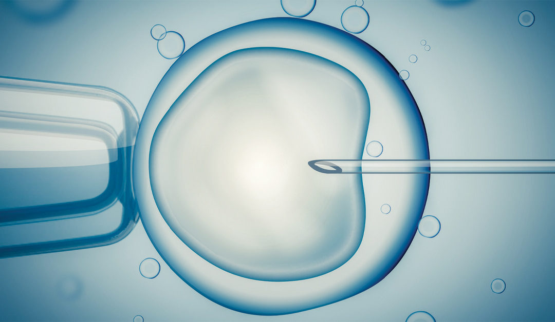 embryo being transferred after ivf acupuncture session