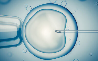 Our top 11 tips for your Embryo Transfer and the Two Week Wait