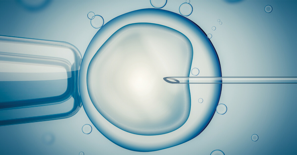 Our Top 11 Tips for Your Embryo Transfer and the Two Week Wait